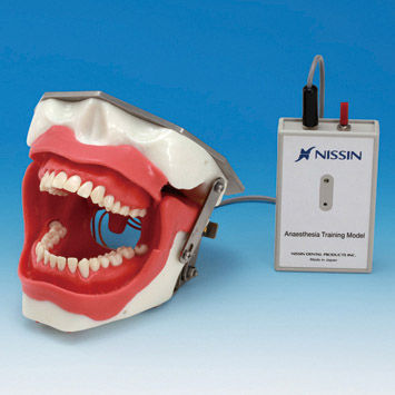 Simulatore di paziente per anestesia odontoiatrica - SUG2005-UL-SP - Nissin Dental Products Inc.   - per iniezioni / per cure odontoiatriche / di testa
