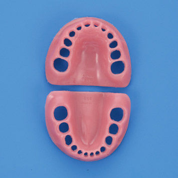 Modello anatomico gengivale - PDI2001-GUL-SP - Nissin Dental Products Inc.   - didattico / di bambino