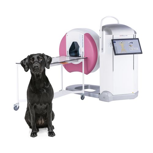 Tomografia veterinaria cone beam (CBCT) per cani - Verity® - Planmeca