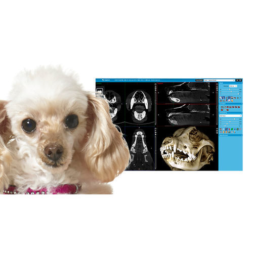 Software visualizzatore - Romexis® Viewer - Planmeca - medico / clinico / TEP