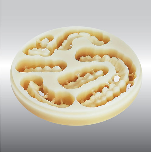 Materiale odontoiatrico in PMMA - DISC multilayer - POLIDENT d.o.o.   - CAD CAM / per corone dentali / provvisorio