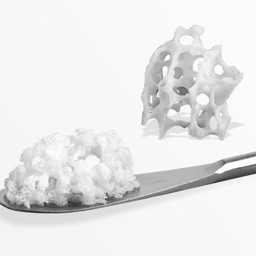 Sostituto osseo xenotrapianto - ZenGro™ - SOUTHERN IMPLANTS (Pty) Ltd.   - per chirurgia dentale / rigido