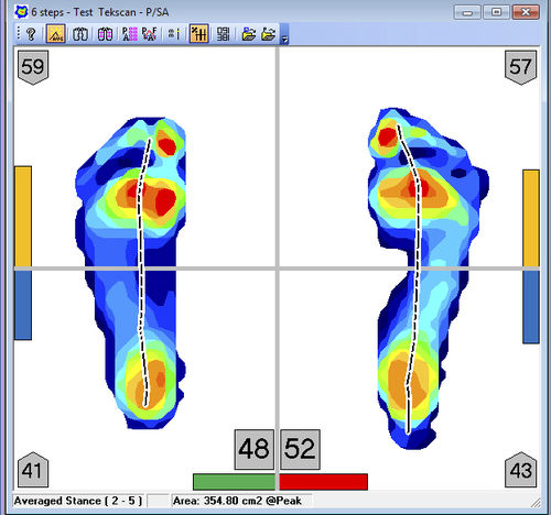 Software per podologia - FootMat™ Researchers - Tekscan - di analisi / di visualizzazione / per reportistica