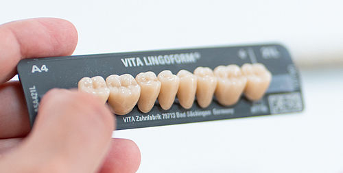 Protesi dentale in composito - VITAPAN® LINGOFORM - VITA Zahnfabrik H. Rauter GmbH & Co.KG   - per denti posteriori