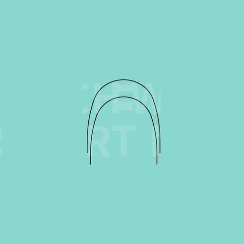 Filo ortodontico rettangolare - SMART - WORLD BIO TECH   - arrotondato / NiTi
