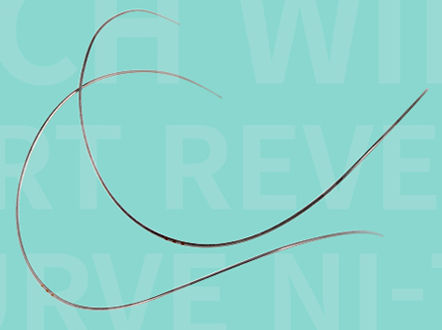 Filo ortodontico NiTi - SMART REVERSE CURVE - WORLD BIO TECH  