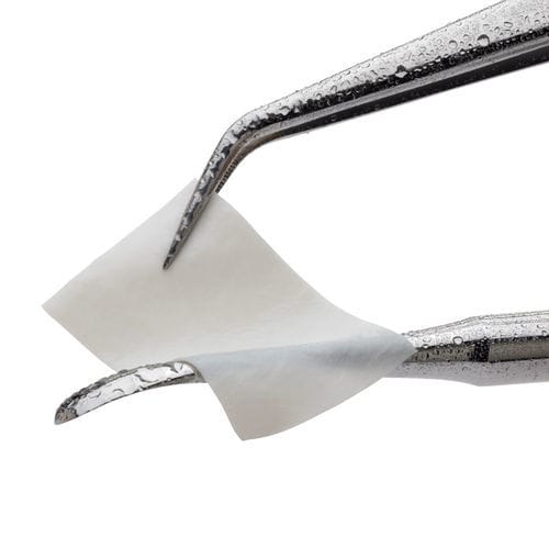 Matrice tissutale chirurgia odontoiatrica - CopiOs® - Zimmer Dental - allotrapianto / xenotrapianto