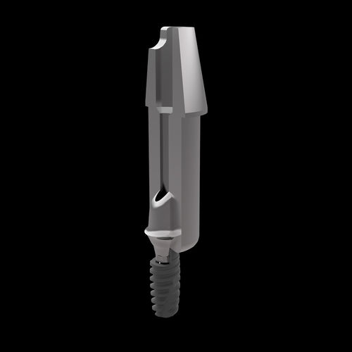 Pilastro dentale per impianto in titanio - Raw-Abutment® - Zirkonzahn - esterno / dritto / di fresatura