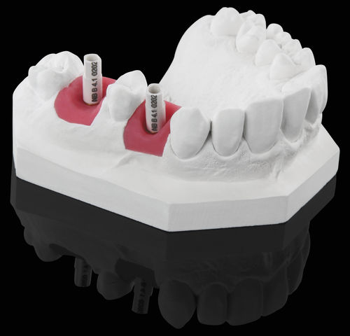 Bodyscan bianco - White Scanmarker - Zirkonzahn - intraorale