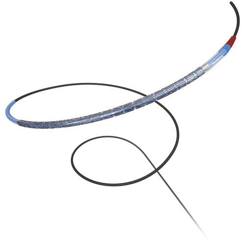 Stent coronarico - Promus ELITE&trade; - Boston Scientific - in platino-cromo / polimerico / per somministrazione di farmaci