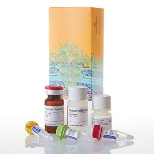 Kit di test per ricerca medica - ROS-Glo™ - Promega France - di stress ossidativo / di perossido d'idrogeno / di cellule