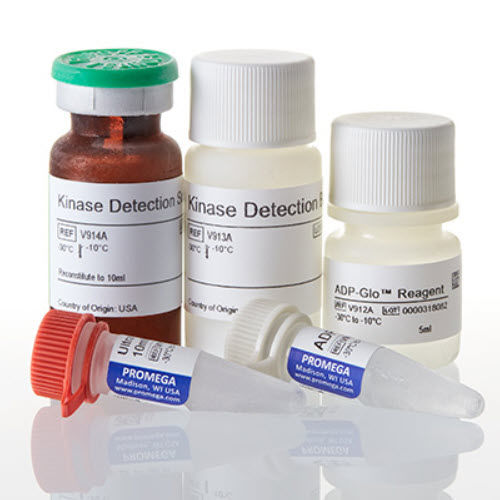 Kit di test per ricerca medica - ADP-Glo™ - Promega France - di attività biologica / per enzimi / di ATP