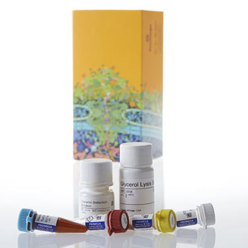Kit di reagenti di siero - Triglyceride-Glo™ - Promega France - per tessuti / di fosfato / di lipasi
