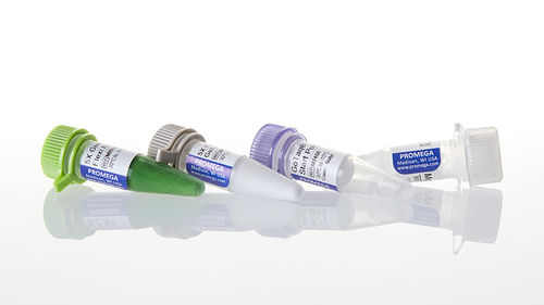 Reagente DNA polimerasi - GoTaq® G2 - Promega France - anticorpo / Taq polimerasi / da ricerca