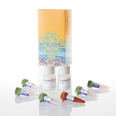 Reagente enzima - GoTaq® - Promega France - colorante / da ricerca / per PCR
