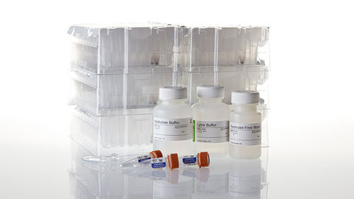 Kit di reagenti proteinasi K - Maxwell®  - Promega France - per tessuti / per estrazione di DNA / per acidi nucleici