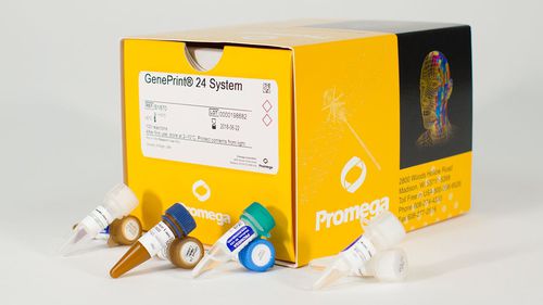 Kit di reagenti in soluzione - GenePrint® 24  - Promega France - colorante / per tessuti / per acidi nucleici