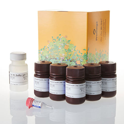 Kit di reagenti colorante - QuantiFluor® ONE - Promega France - per acidi nucleici / microbiologico