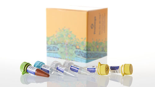 Kit di reagenti soluzione tampone - Plexor® HY  - Promega France - per biologia molecolare / per acidi nucleici / per qPCR
