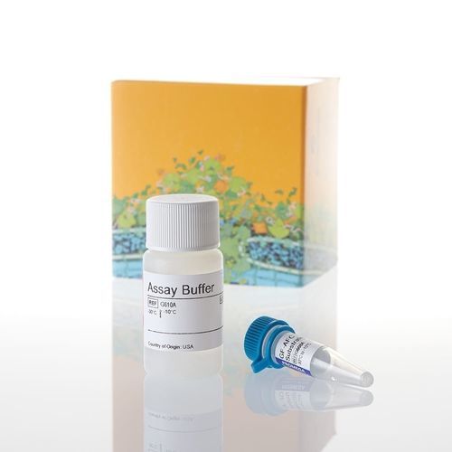 Kit di test per ricerca medica - CellTiter-Fluor™ - Promega France - di viabilità cellulare / di citotossicità / di proteasi