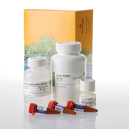 Kit di reagenti in soluzione - DC6051 - Promega France - soluzione tampone / da ricerca / per elettroforesi capillare