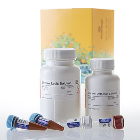 Kit di reagenti di siero - Glycerol-Glo™ - Promega France - per tessuti / per campioni biologici / di fosfato