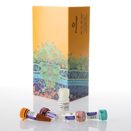 Kit di test da ricerca - Lumit® - Promega France - di cellule / a immunoanalisi
