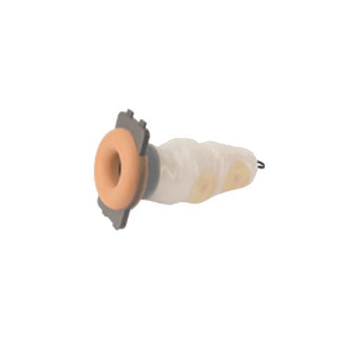 Modello anatomico di retto - LTT07 - Applied Medical - per chirurgia / ad uso didattico / per laparascopia