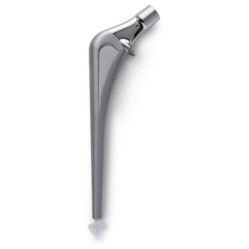 Stelo femorale cementato - ALPINE® - Ortho Development