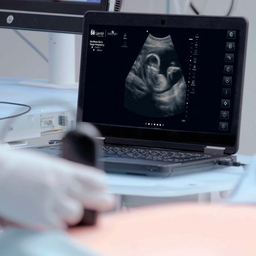 Simulatore didattico - SonoSim® - Laerdal Medical - per ecografia / di anatomia / workstation