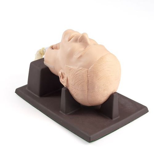 Simulatore didattico - 261-01001 - Laerdal Medical - per cricotiroidotomia / per chirurgia / maschile