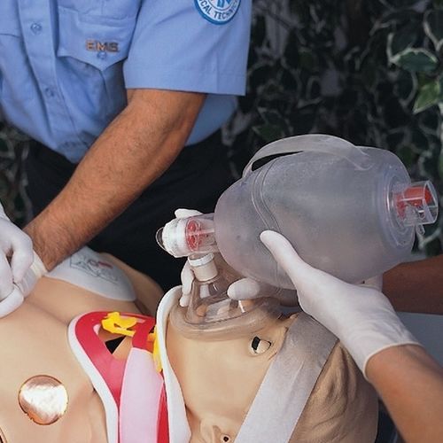 Simulatore di paziente per cure infermieristiche - HAL® S3000 - Gaumard - per auscultazione / di palpazione / per intubazione