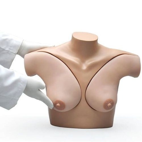 Simulatore di palpazione mammaria - S230.42 - Gaumard - didattico / per assistenza generale / di adulto