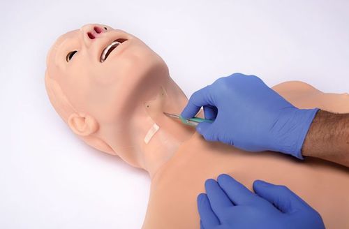 Simulatore per gestione delle vie aeree - HAL® S315.100 - Gaumard - per intubazione / per cricotiroidotomia / per RCP