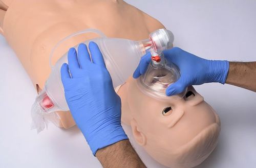 Simulatore per gestione delle vie aeree - HAL® S315 - Gaumard - per intubazione / per RCP / ad uso didattico