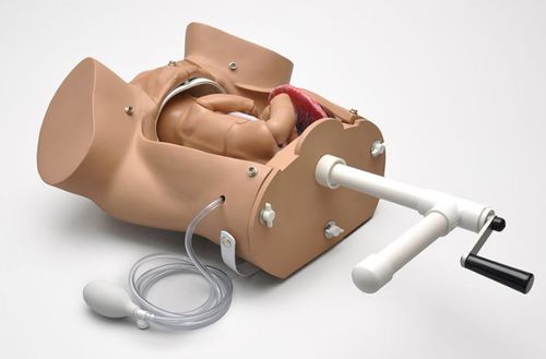 Simulatore di parto - OB Susie® S500.100  - Gaumard - di palpazione / didattico / per assistenza generale