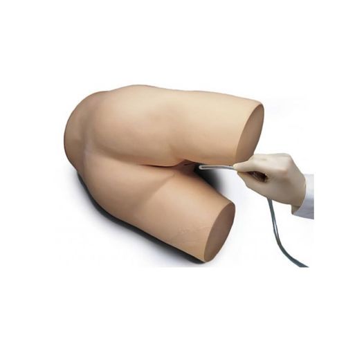 Simulatore didattico - S230.5 - Gaumard - per assistenza generale / di adulto / maschile