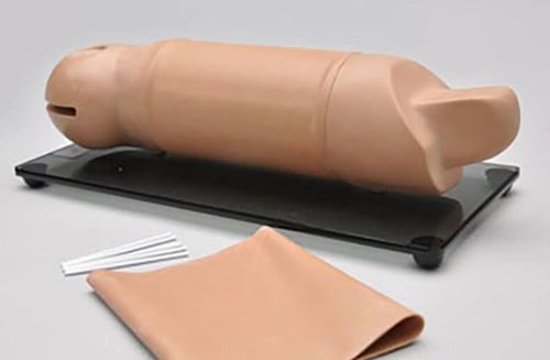Simulatore didattico - RITA® S519 - Gaumard - per assistenza generale / di braccio / in espanso