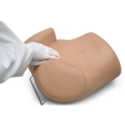 Simulatore per esame pelvico - SIMA GYN/AID® S503 - Gaumard - didattico / per inserzione di DIU / di adulto