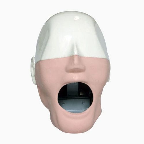 Manichino didattico per cure odontoiatriche - MQDMS - Columbia Dentoform® - di testa