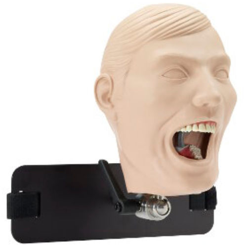 Manichino didattico per cure odontoiatriche - M-1R-DA-8 - Columbia Dentoform® - di testa