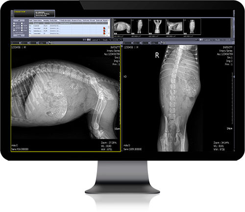 PACS basato sul web - Infinitt Healthcare - veterinario