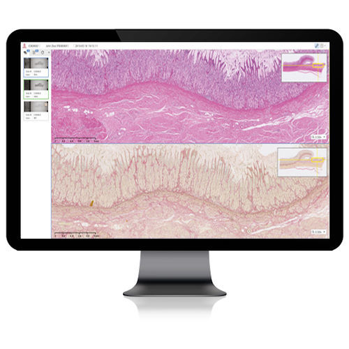Software medico - Infinitt Healthcare - d'imaging macroscopico di patologia / diagnostico / di misura