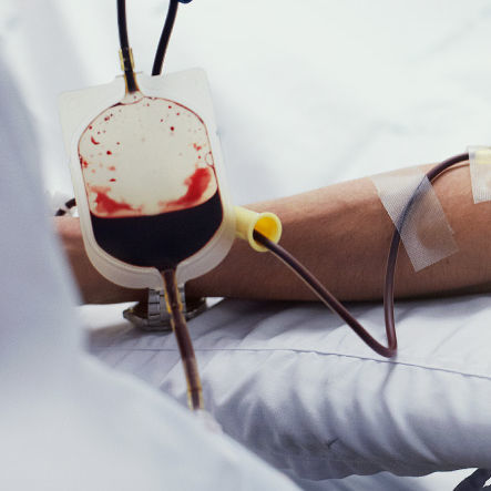 Sacca per sangue CPD - Terumo - Terumo BCT - CPDA-1