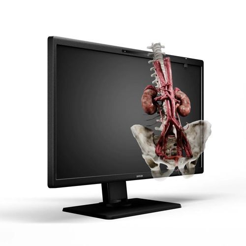 Monitor medico - Eonis 3D - Barco - chirurgico / 8" / LED