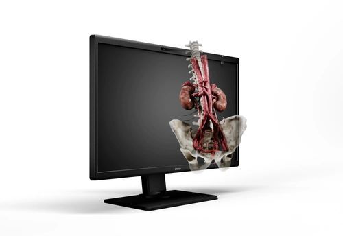 Monitor per sala operatoria - Eonis 3D - Barco - per diagnostica per immagini / medico / ad uso didattico