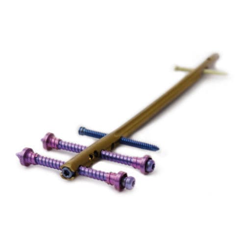 Chiodo intramidollare per femore - CHARFIX2 - ChM - fissazione distale / in titanio