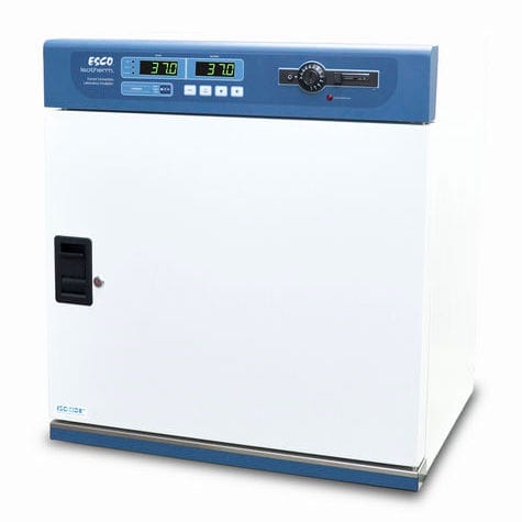 Incubatore da laboratorio a convezione forzata - Isotherm® - ESCO - da banco / in acciaio inossidabile / 1 porta
