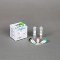Kit di reagenti transcrittasi inversa - Rocketscript™ - Bioneer Corporation - per RT-PCR / per PCR real-time