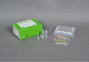 Kit di test per malattie infettive - AccuPower® - Bioneer Corporation - virale / dell'influenza A / nasofaringeo